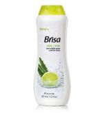 SHAMPOO BRISA CABELOS OLEOSOS E PONTAS SECAS